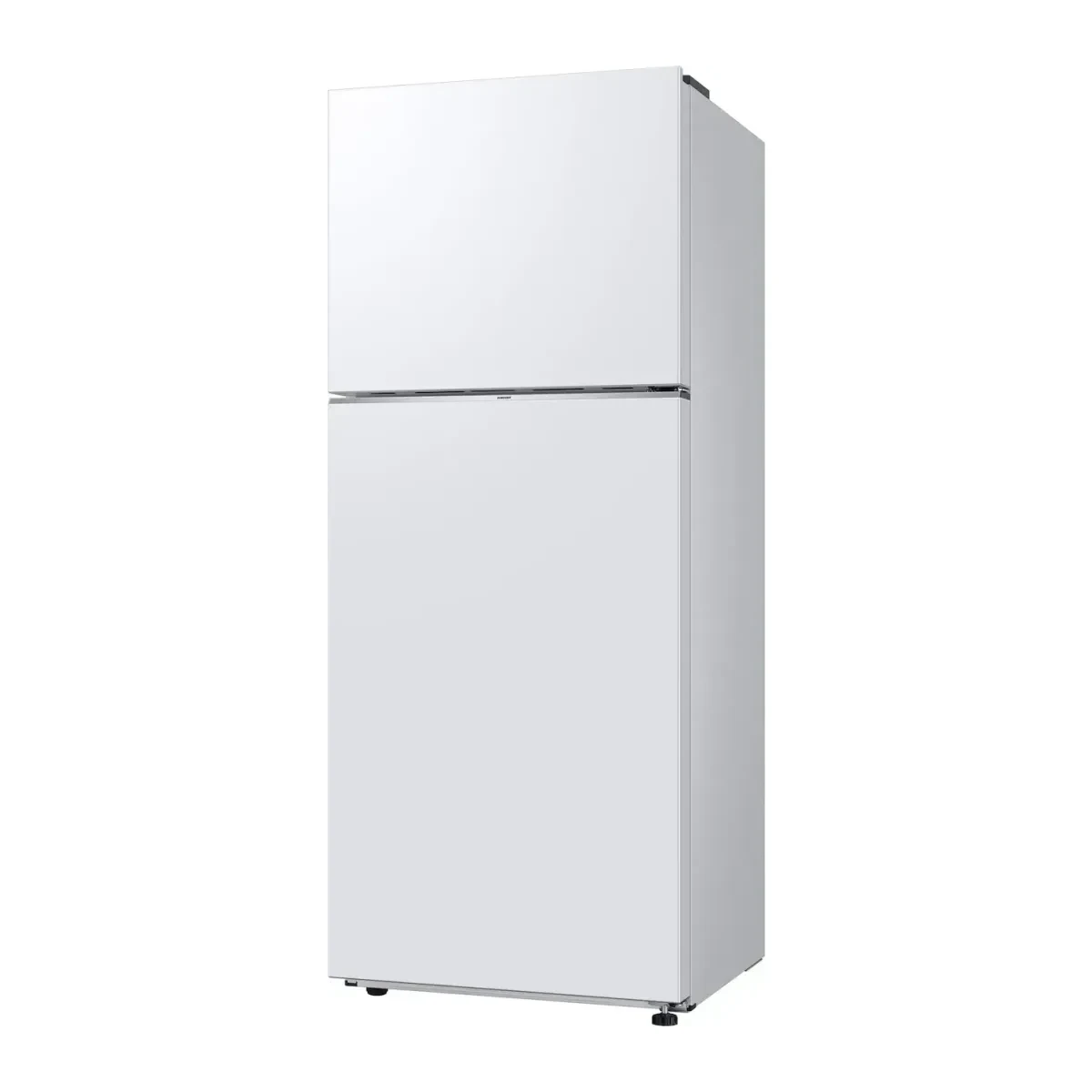 холодильник Samsung RT38CG6000WWWT